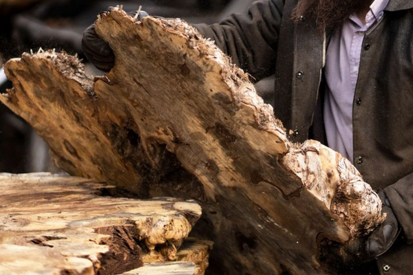 What is Live Edge Wood? Your Ultimate Guide