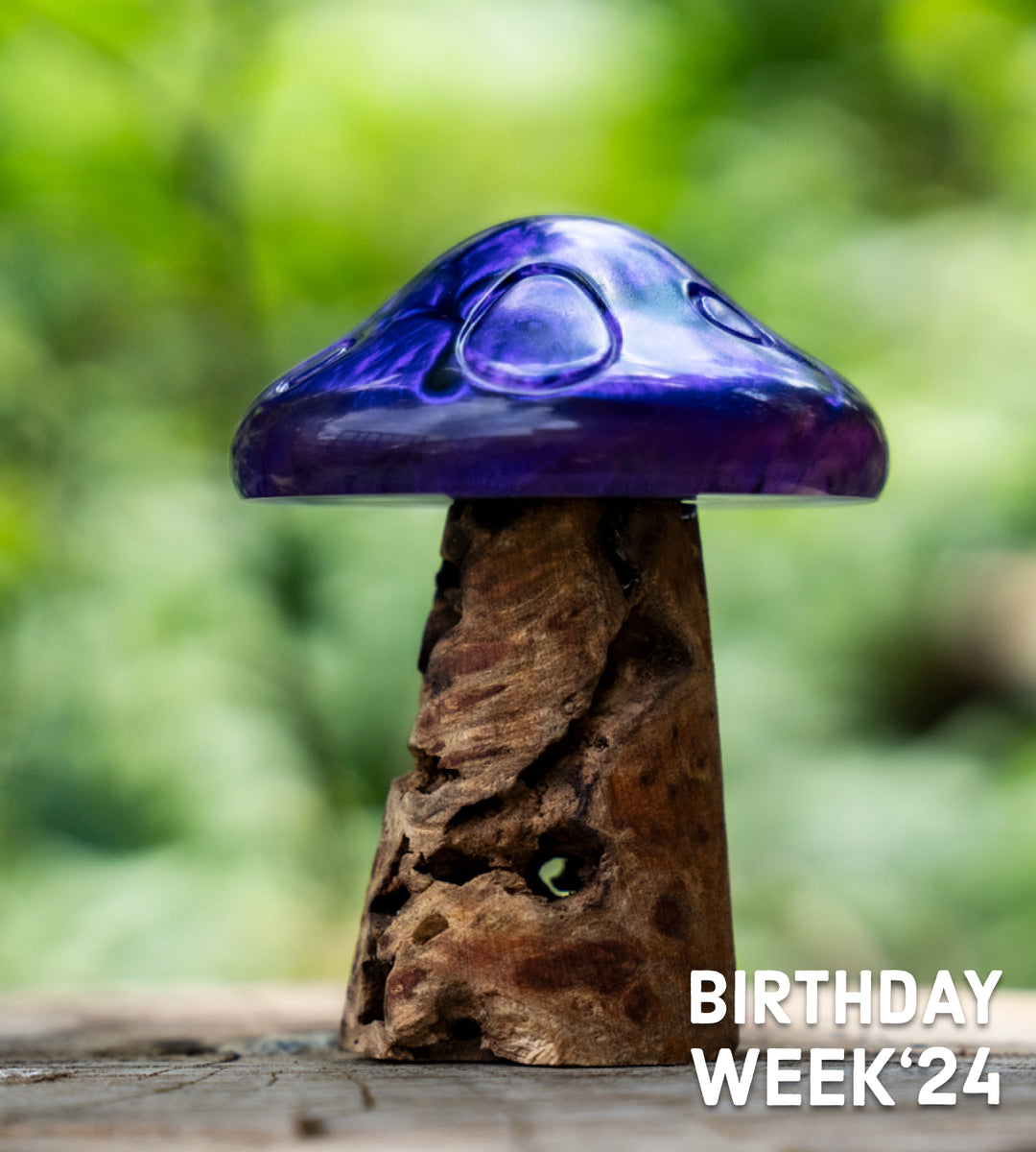 Toadie Primary Product Image