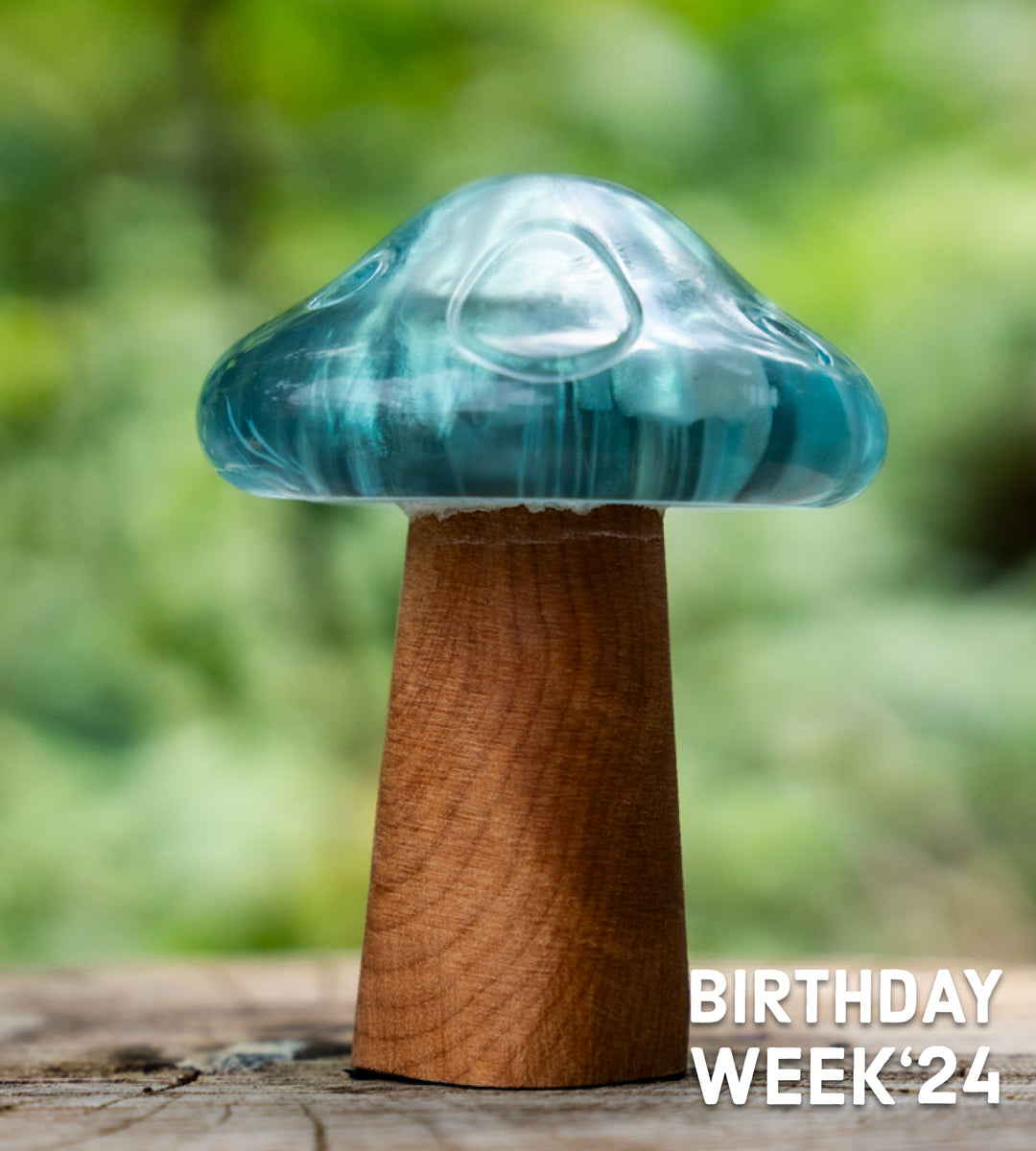 Fungie Primary Product Image