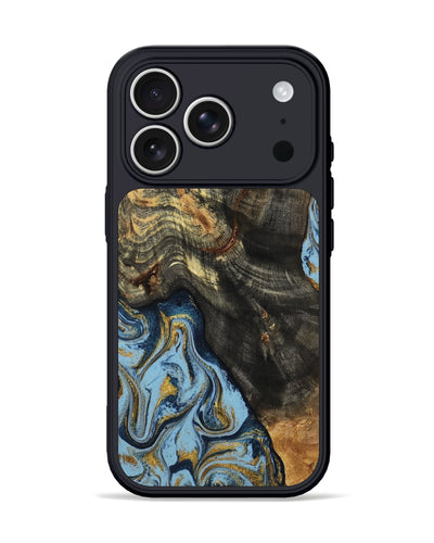 Autumn (800062) iPhone 17 Pro Phone Case