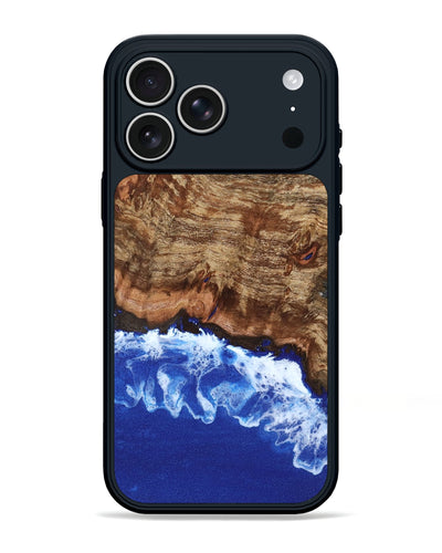 Van (802040) iPhone 17 Pro Max Phone Case