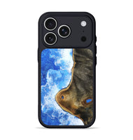 iPhone 17 Pro Wood Phone Case - Cherish (Coastal, 802316)