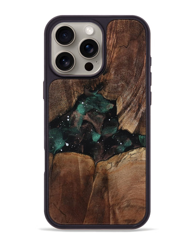 Florida (811277) iPhone 16 Pro Max Phone Case
