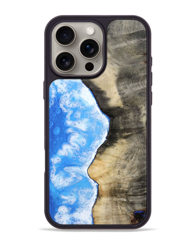 Hilton (815270) iPhone 16 Pro Max Phone Case