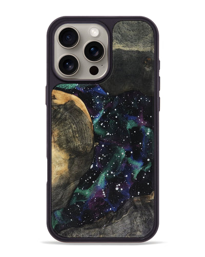 Sierra (816354) iPhone 16 Pro Max Phone Case