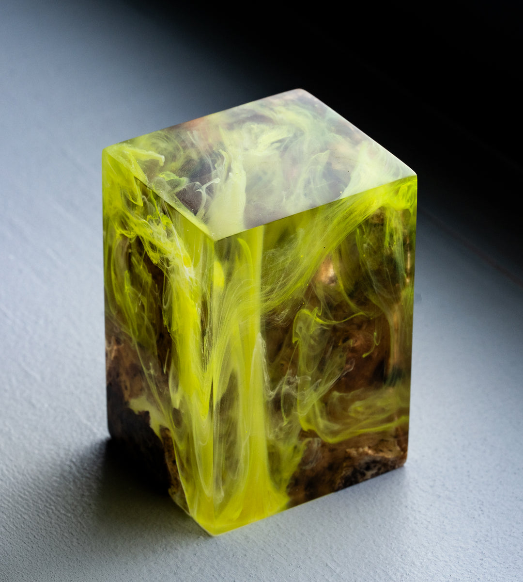 Belly Primary Product Image