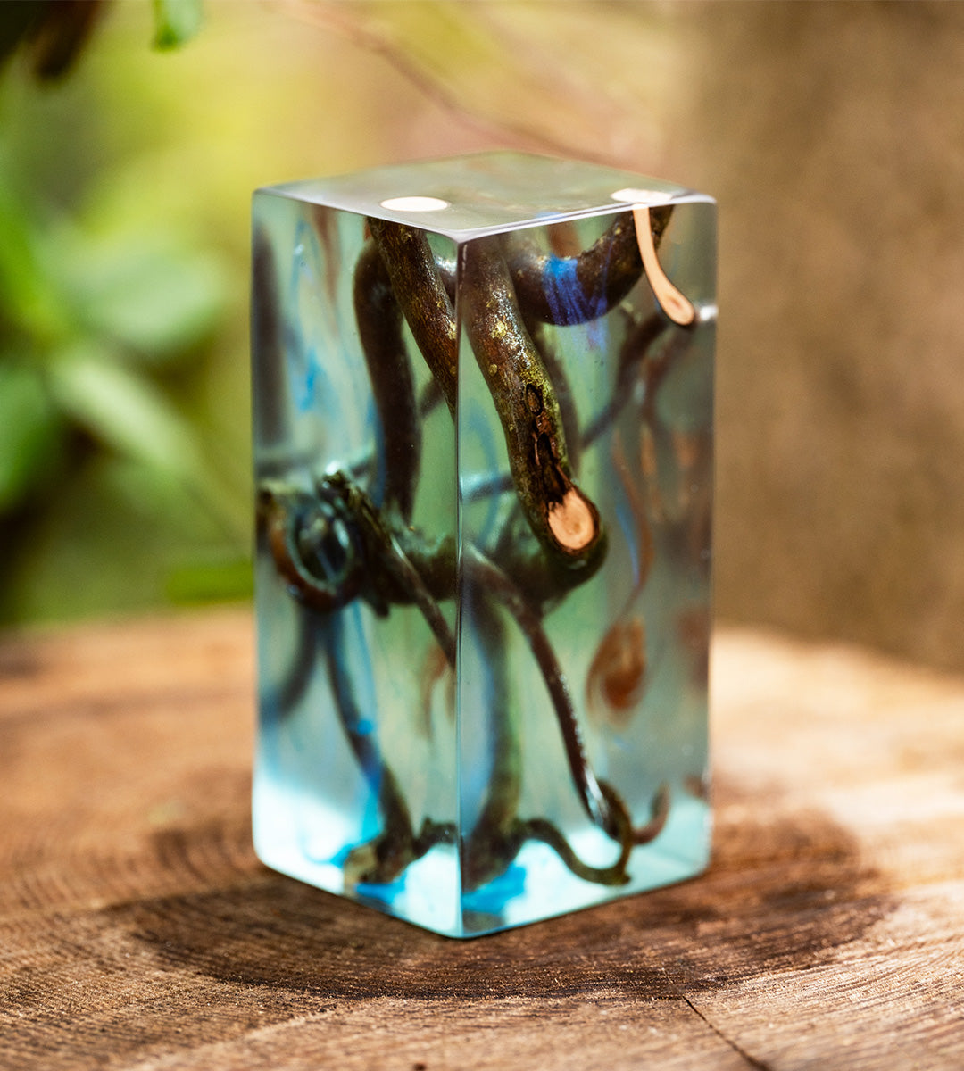 Hazel Primary Product Image