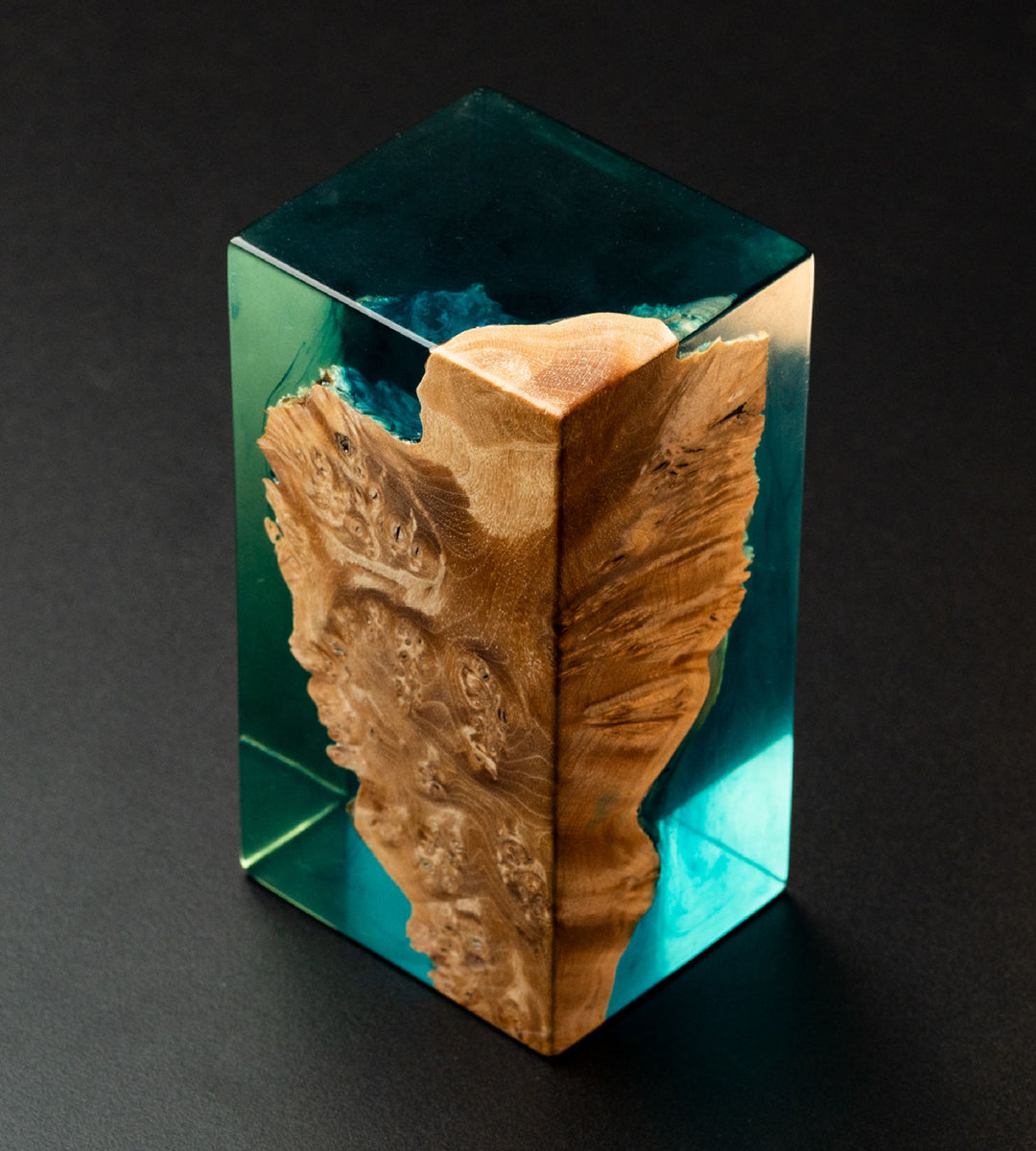 Tortuga Primary Product Image