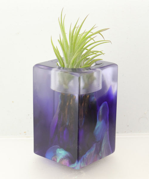 Wood Burl ResinArt Air Plant Holder - Hayes (The Lab, 700458)