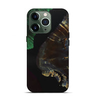 iPhone 13 Pro Wood+Resin Live Edge Phone Case - Hazel (Pure Black, 700933)