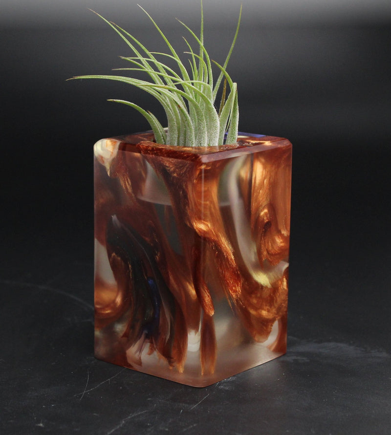 Wood Burl ResinArt Air Plant Holder - Gary (Wood Burl, 705071)