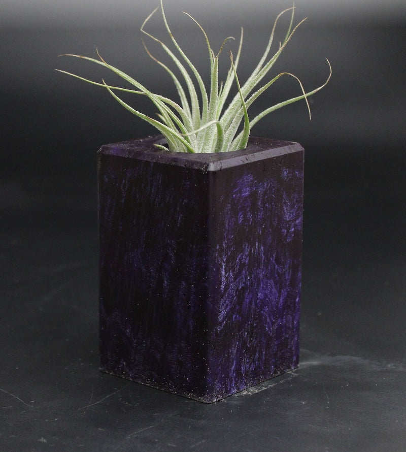 Wood Burl  Air Plant Holder - Ariel (Wood Burl, 707667)