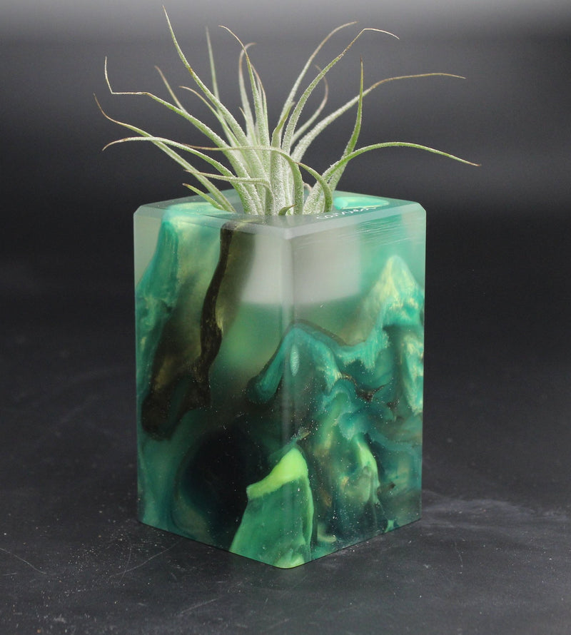 Wood Burl ResinArt Air Plant Holder - Hope (The Lab, 707819)