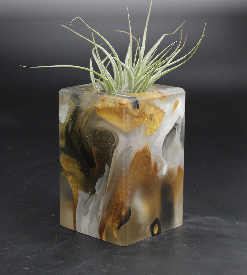Wood Burl ResinArt Air Plant Holder - Amanda (The Lab, 707828)