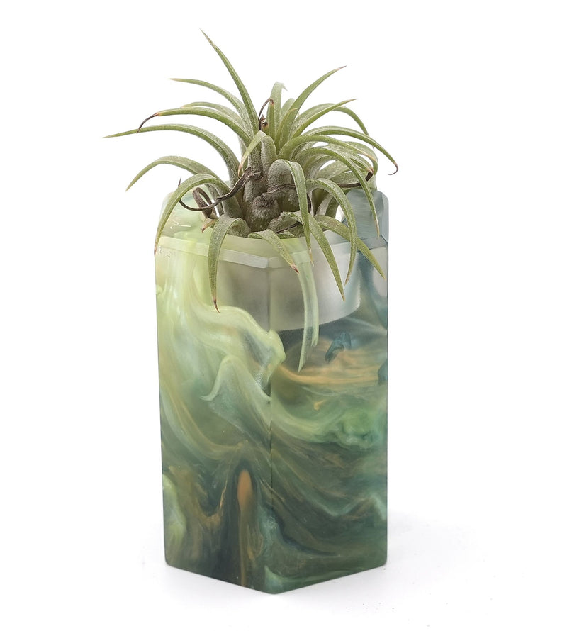 Wood Burl ResinArt Air Plant Holder - Arya (Wood Burl, 748606)