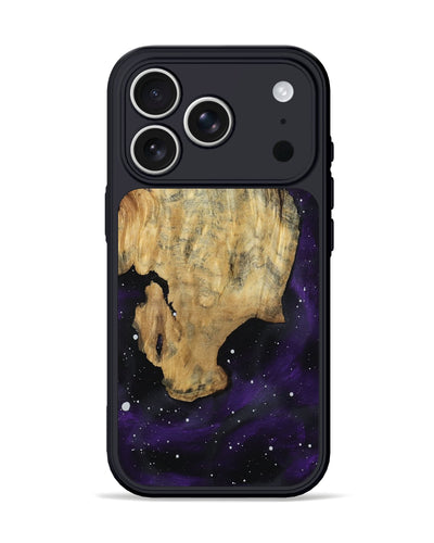 Ledger (802147) iPhone 17 Pro Phone Case