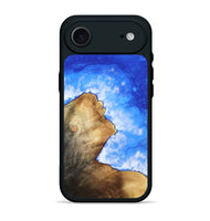 iPhone 17 Air Wood Phone Case - Chas (Coastal, 808760)