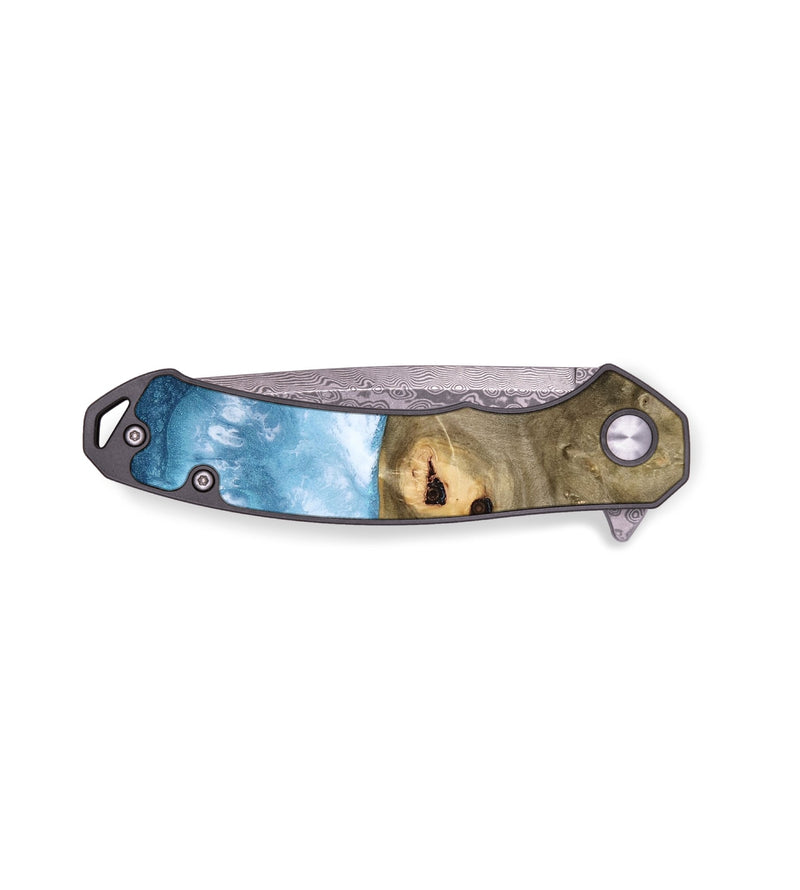 EDC Wood Pocket Knife - Jenifer (Coastal, 811390)