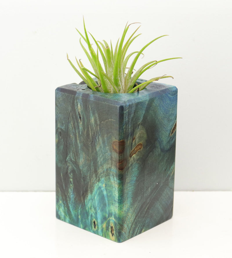 Wood Burl Wood+Resin Air Plant Holder - Stacy (Fire & Ice, 693255)