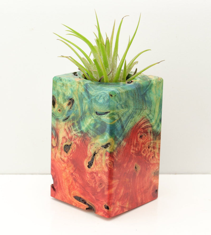 Wood Burl Wood+Resin Air Plant Holder - Leah (Fire & Ice, 693263)