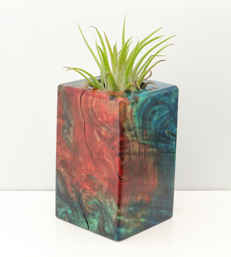 Wood Burl Wood+Resin Air Plant Holder - Derek (Fire & Ice, 693265)