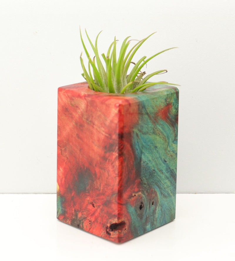Wood Burl Wood+Resin Air Plant Holder - Kerri (Fire & Ice, 693278)