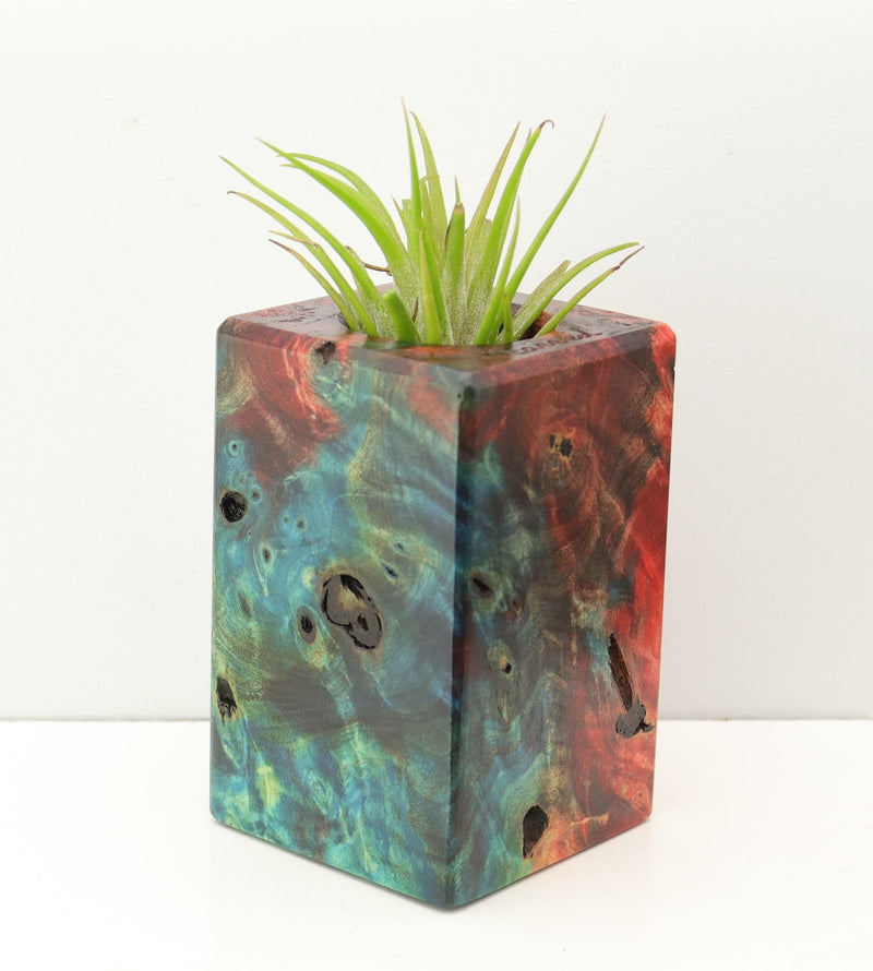 Wood Burl Wood+Resin Air Plant Holder - Miley (Fire & Ice, 693279)